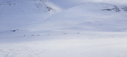 Groupe de randonneurs sur la Kungsleden